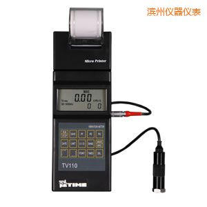 濱州時(shí)代便攜式測(cè)振儀