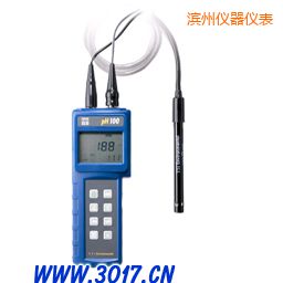 濱州pH/ORP/溫度測量儀