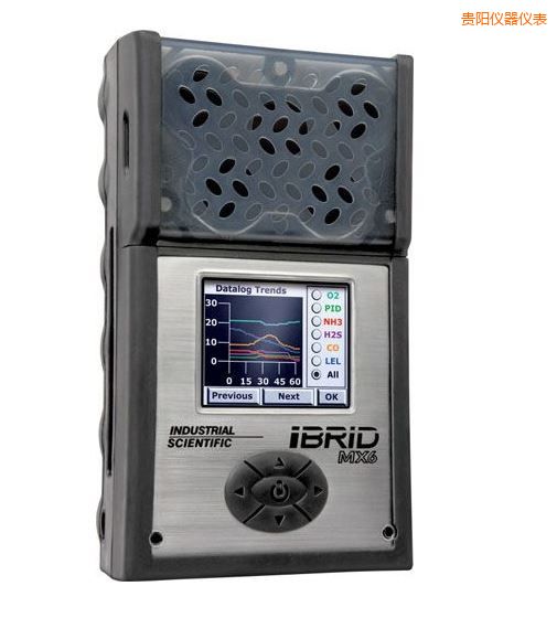 貴陽復(fù)合式6氣體檢測儀