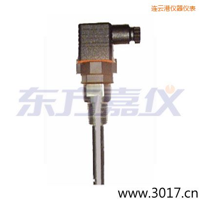 連云港含有溫度的兩線電導率電極