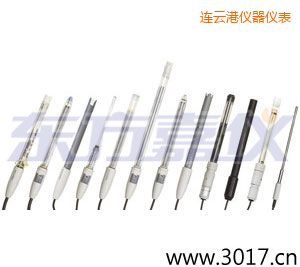 連云港pH電極