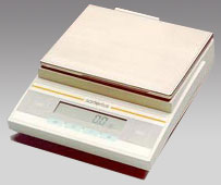 沈陽電子天平,3100g,0.1g