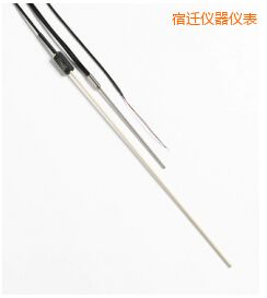 宿遷R 型和 S 型標(biāo)準(zhǔn)熱電偶