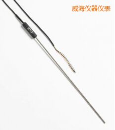 威海高性能金屬桿標準鉑電阻溫度計