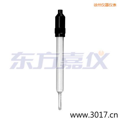 徐州玻璃外殼無溫補兩線電導(dǎo)率電極